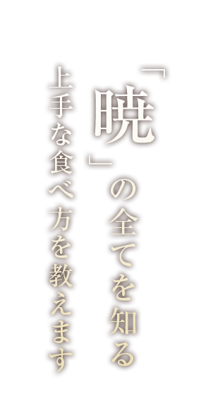 “暁”の全てを知る